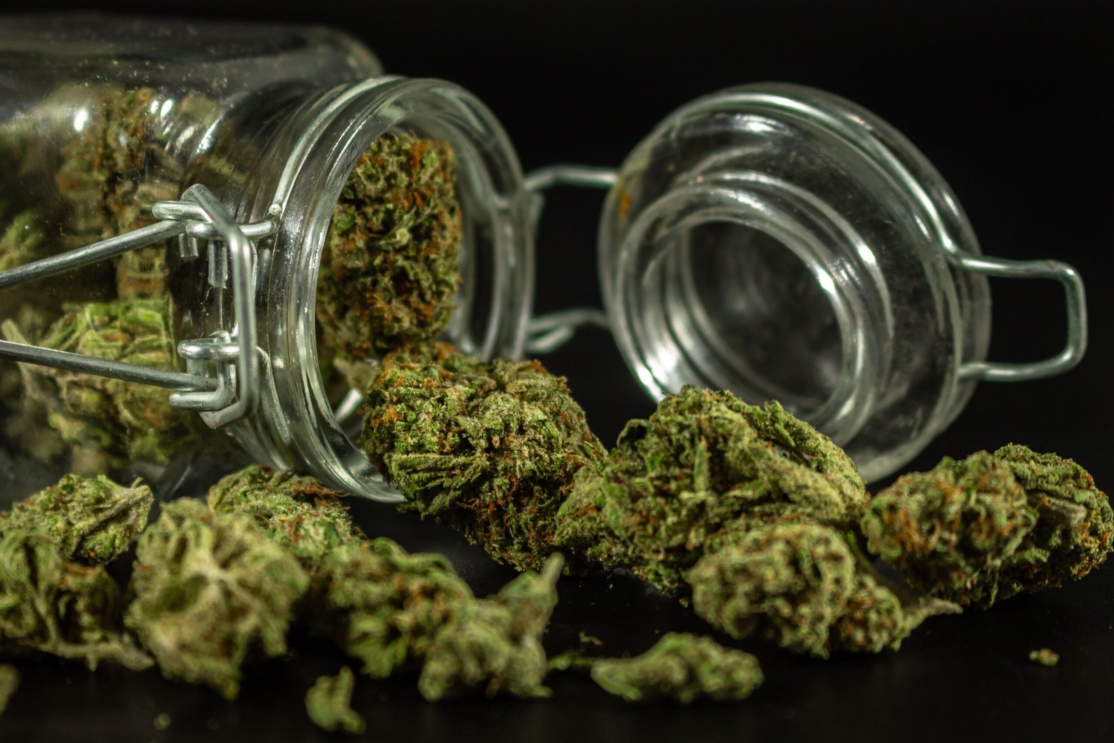 Cannabis et loi française : ce qu’il faut savoir en 2026